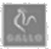 05 Gallo Gris Alta Res